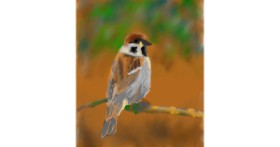 Drawing of Sparrow by H2O