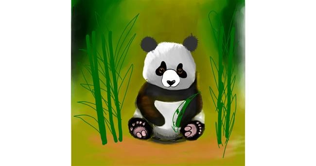Panda-Zeichnung von Ri