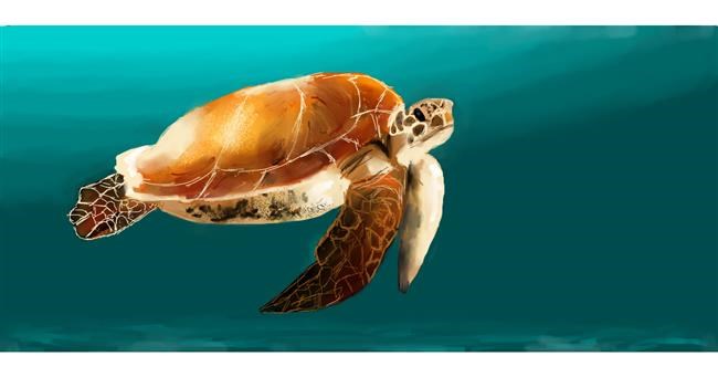 Drawing of Sea turtle by Effulgent Emerald