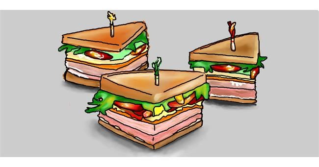 Drawing of Sandwich by Ani