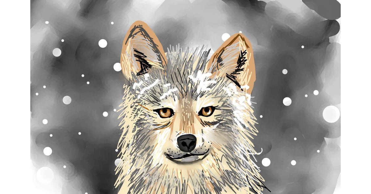 Drawing of Wolf by Rose rocket