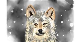 Drawing of Wolf by Rose rocket