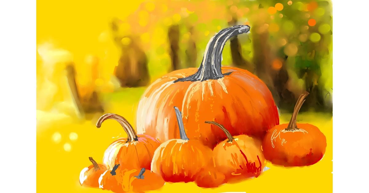 Drawing of Pumpkin by Bibattole