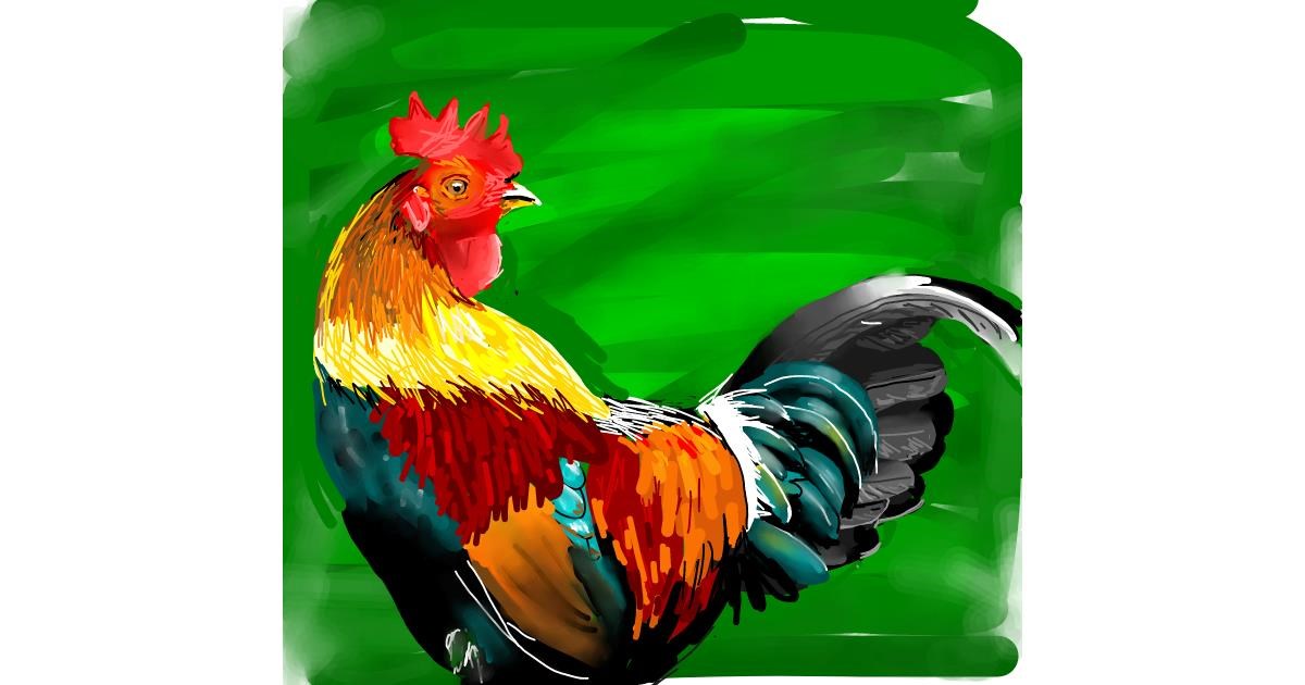 Drawing of Rooster by Rose rocket