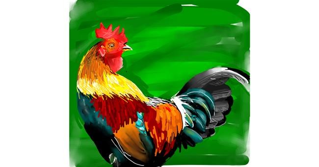 Drawing of Rooster by Rose rocket