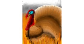 Drawing of Turkey by 🌌Mom💕E🌌