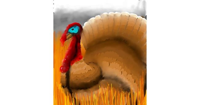 Drawing of Turkey by 🌌Mom💕E🌌