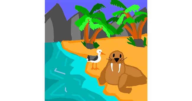 Drawing of Walrus by MaRi
