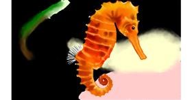 Drawing of Seahorse by Tim
