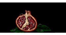 Drawing of Pomegranate by Annie