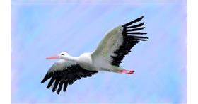 Drawing of Stork by Sylv