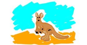 Drawing of Kangaroo by mary
