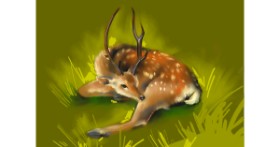 Drawing of Deer by Moon