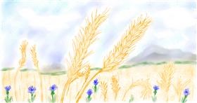 Drawing of Wheat by Maggy