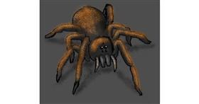 Drawing of Spider by Purple Beaver