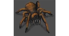 Drawing of Spider by Dexl