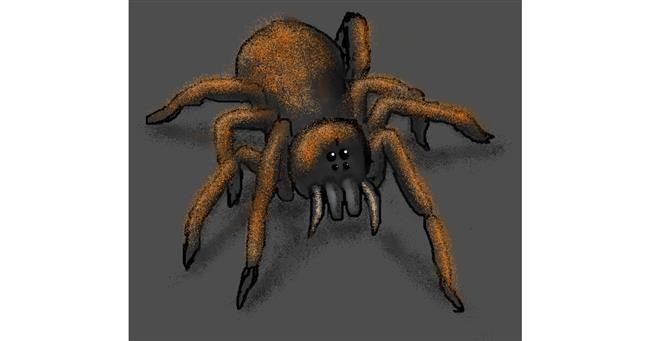 Drawing of Spider by Dexl
