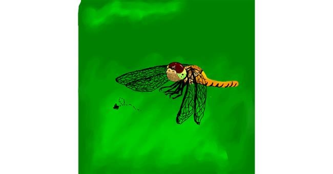 Drawing of Dragonfly by Korean student