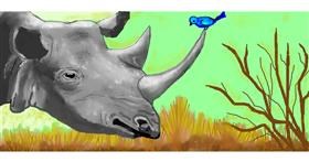 Drawing of Rhino by Debidolittle
