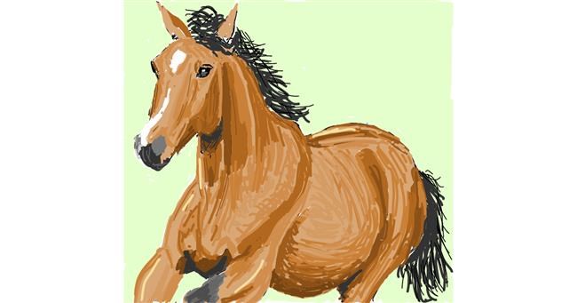 Drawing of Horse by Coyote