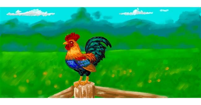 Drawing of Rooster by shiNIN