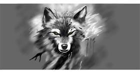 Drawing of Wolf by Chaching