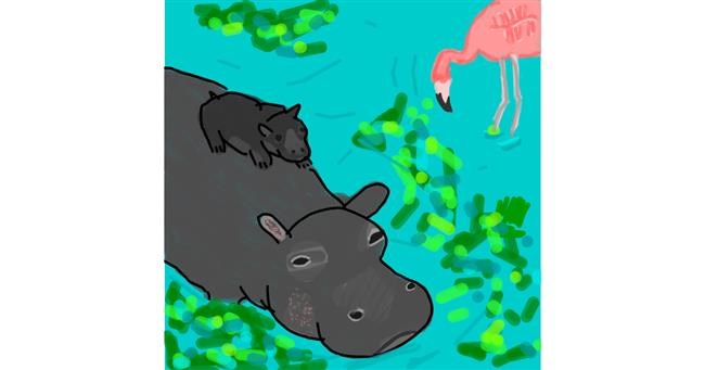 Drawing of Hippo by MaRi