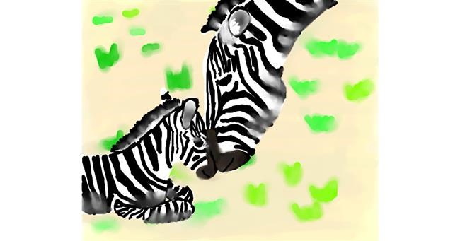 Drawing of Zebra by Autumn