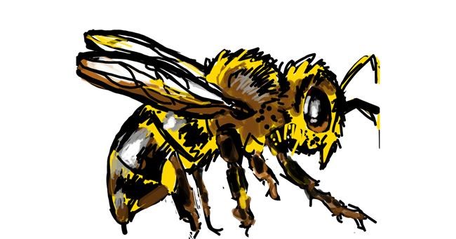 Drawing of Bee by MZ