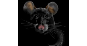 Drawing of Mouse by Not.Old.Train