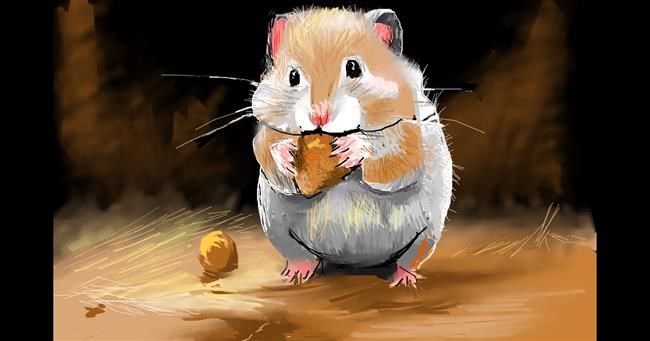 Drawing of Hamster by Herbert