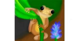 Frosch-Zeichnung von amys.rcovy