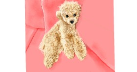 Drawing of Poodle by GJP