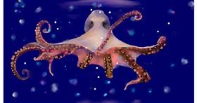 Drawing of Octopus by Mandy Boggs