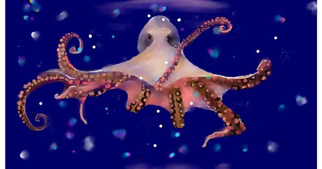Drawing of Octopus by Mandy Boggs