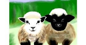 Ovca - autor: Betula