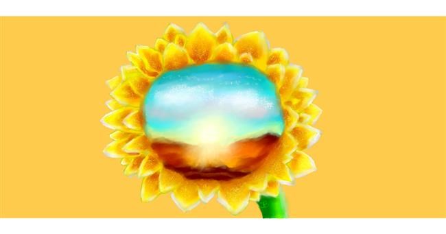 Drawing of Sunflower by Sara