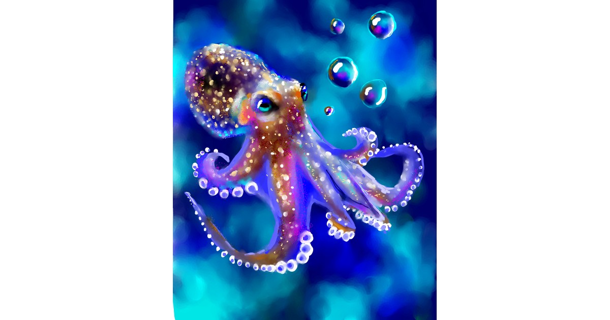 Squid Drawing - Gallery and How to Draw Videos!