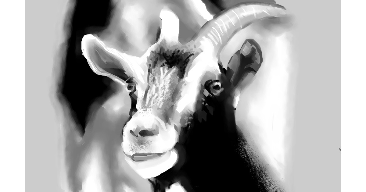 Full Size Drawing
