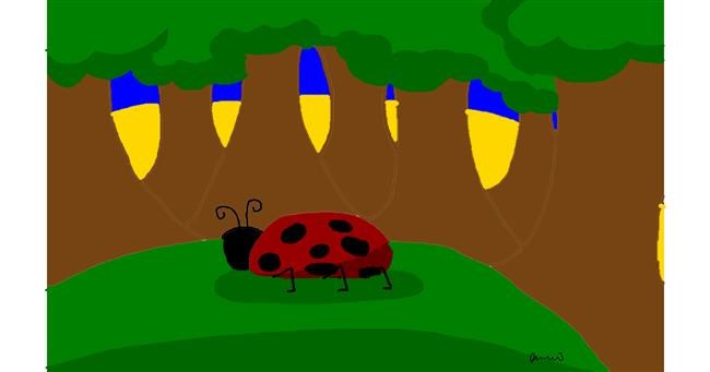 Drawing of Ladybug by Jessica