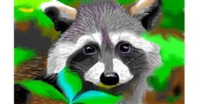 Drawing of Raccoon by Herbert
