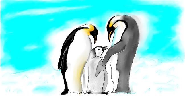 Drawing of Penguin by Maggy
