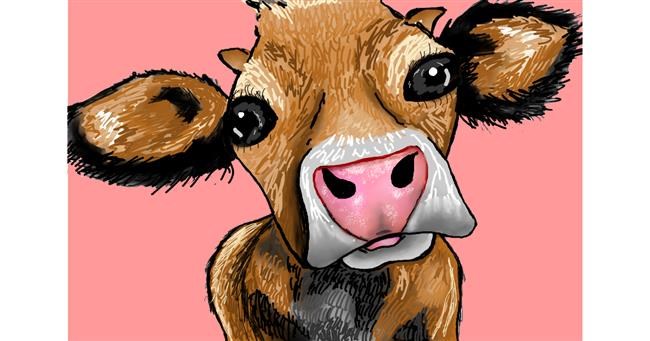 Drawing of Cow by Lollipop🍭