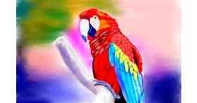 Drawing of Parrot by GJP