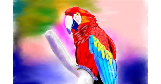 Drawing of Parrot by GJP
