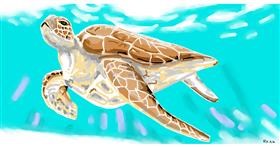 Morska kornjača - autor: Swimmer