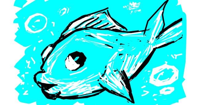 Drawing of Fish by Derp