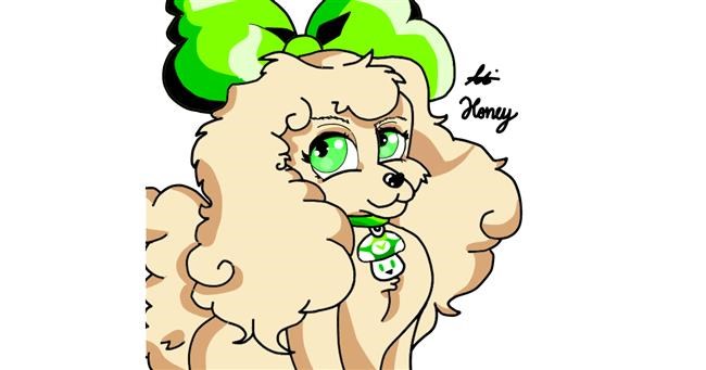 Drawing of Poodle by Holy Kirbo