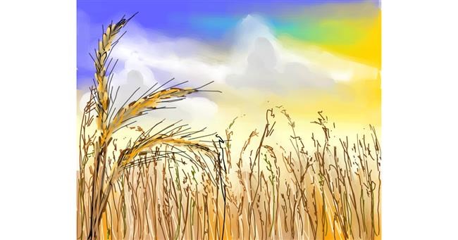 Drawing of Wheat by Bro 2.0😎