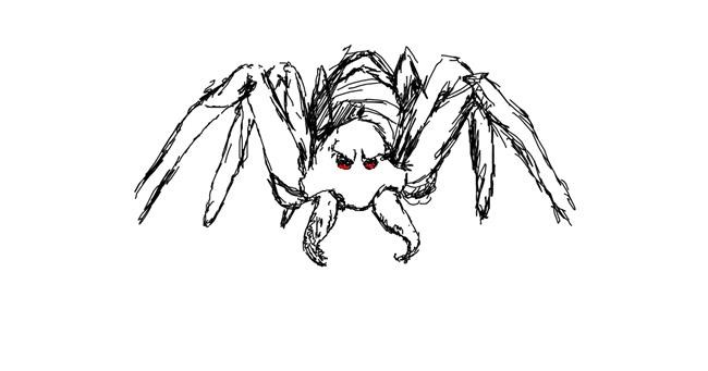 Drawing of Spider by -.ila.Playz.Roblox.- - Drawize Gallery!